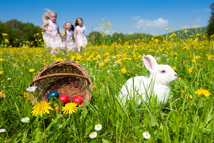 Easter bunny watching the egg hunt